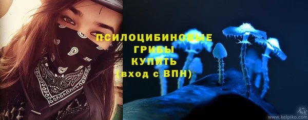 экстази Белокуриха