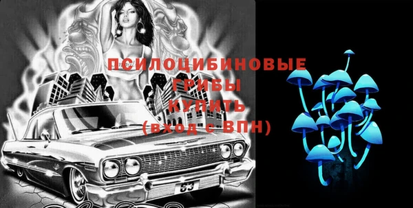 экстази Белокуриха