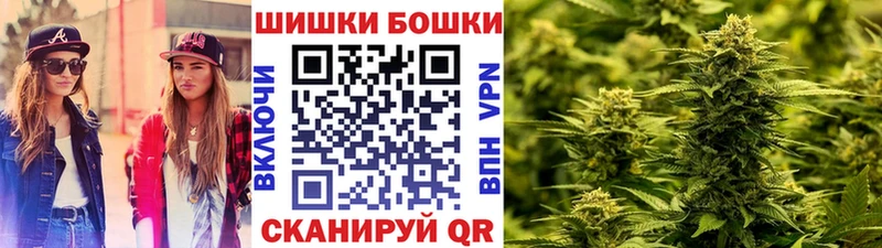 Шишки марихуана марихуана  Чернушка 